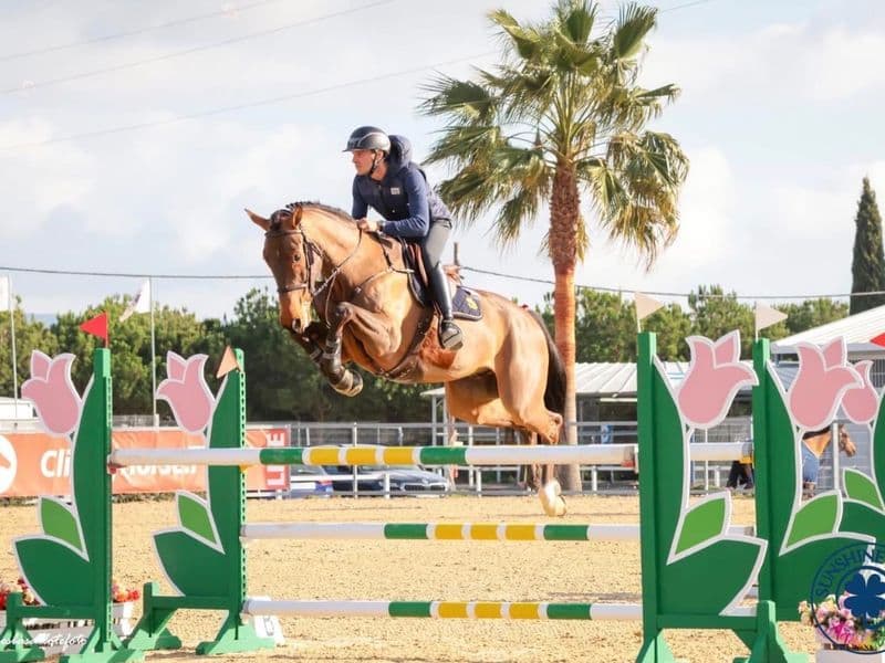 Kocaine Saveniere (CORICO Z x CANTUS)