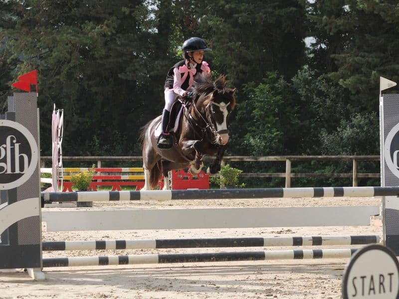 HELLBOY DE COME (- x -)