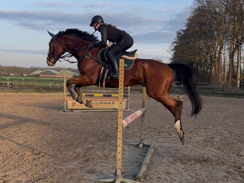 Limoncello Try as we might