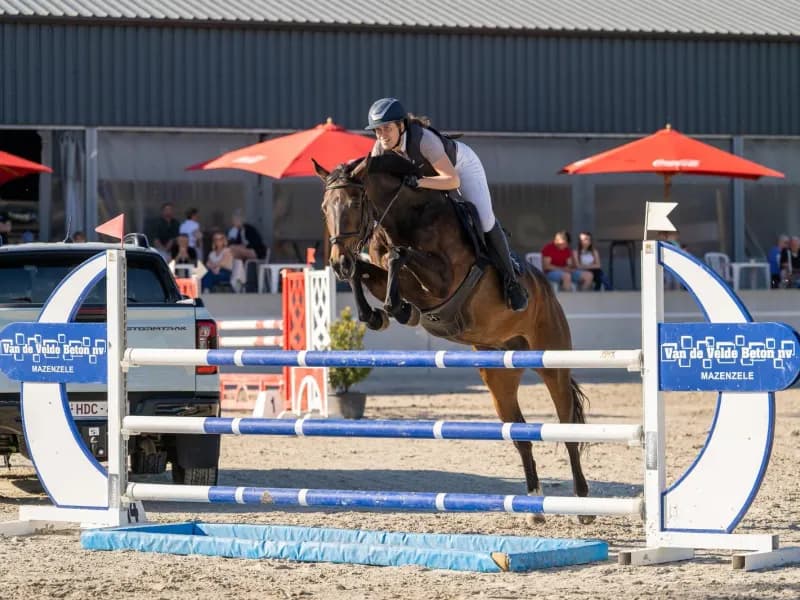 Trust me Van Den Heuvel